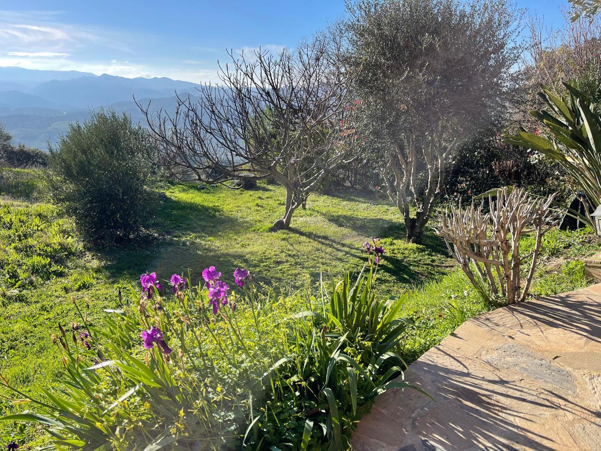 Carpediem_Corsica Poggio-d'Oletta Bagian luar foto